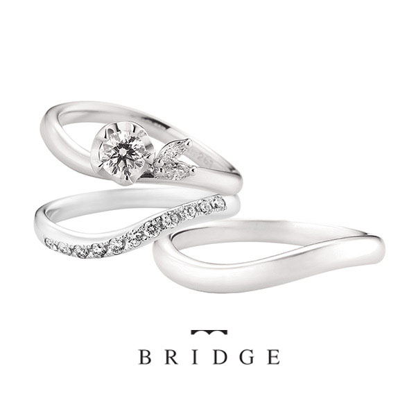 BRIDG Winter Camellia & Morning Wave