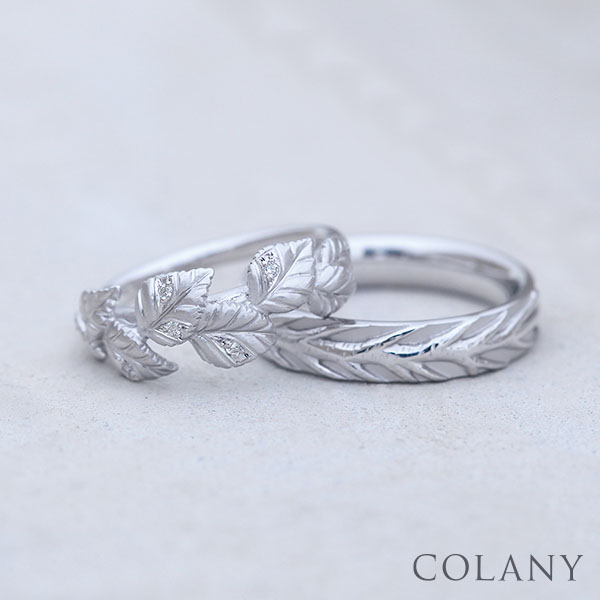 【COLANY】SHIRAKABA ML